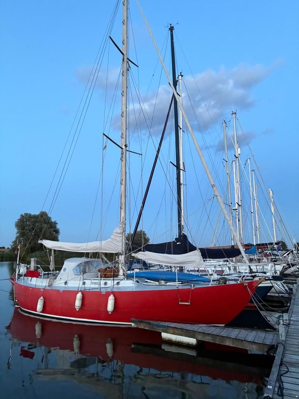 Sauvage 36