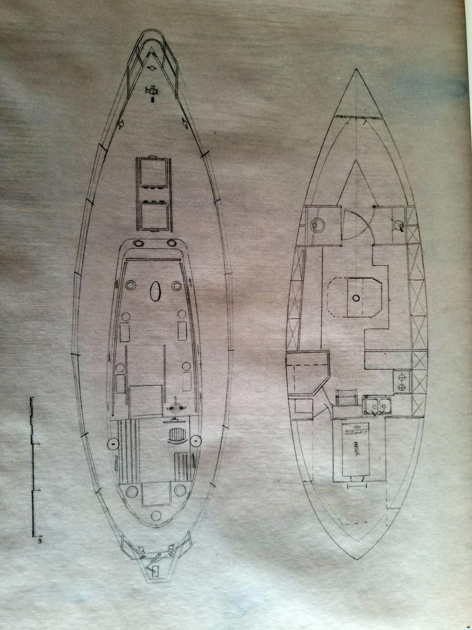 Sauvage 36