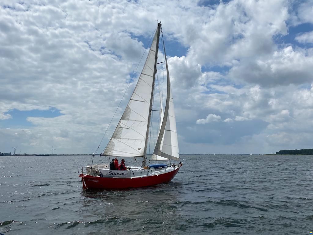 Sauvage 36