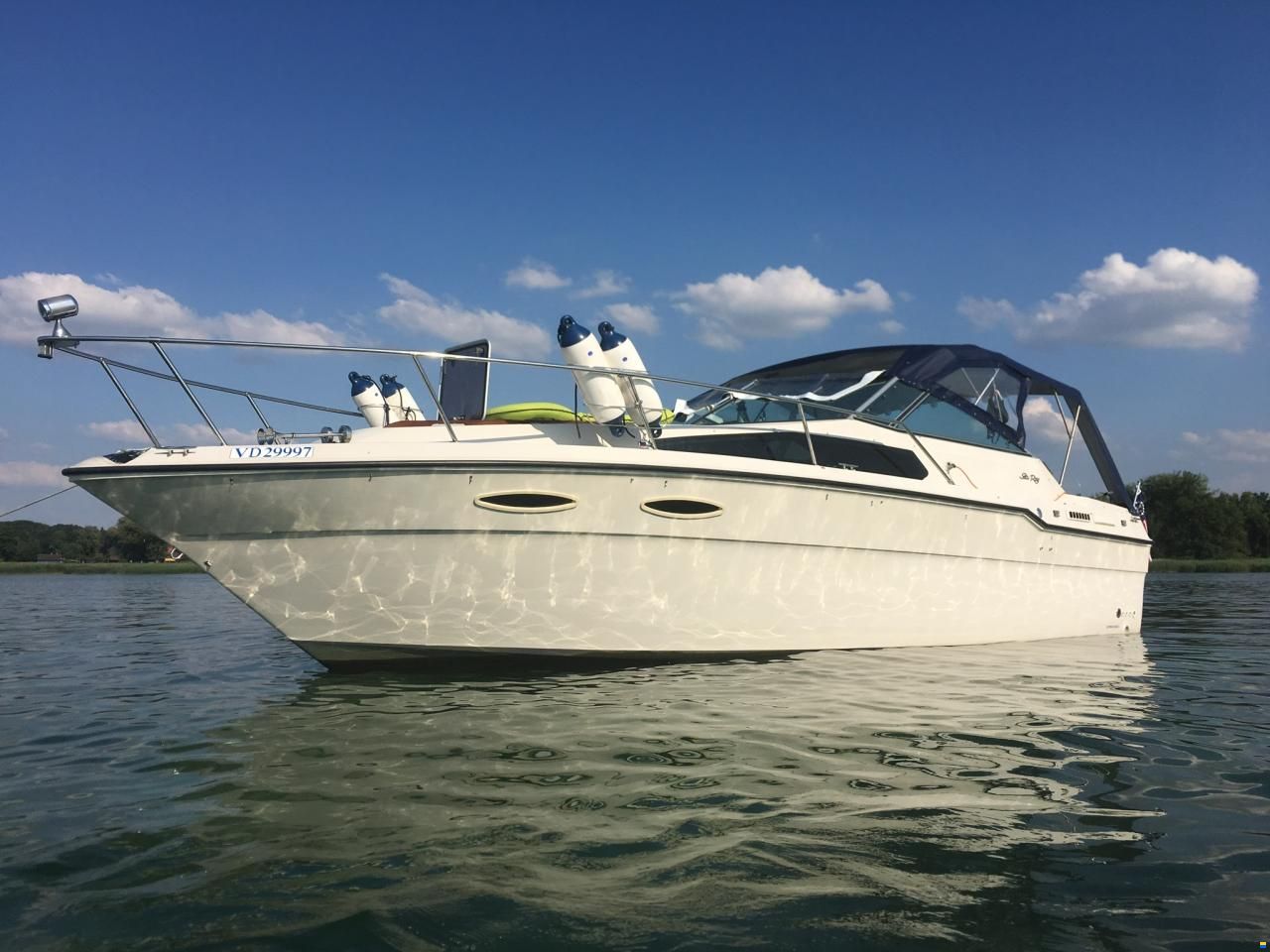 Sea Ray 300