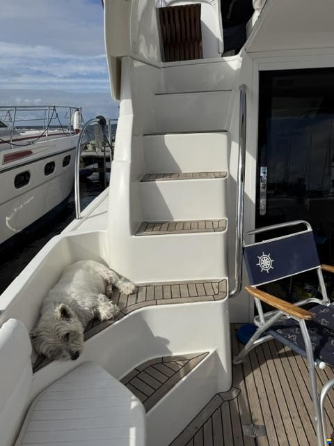 Galeon 380-FLY