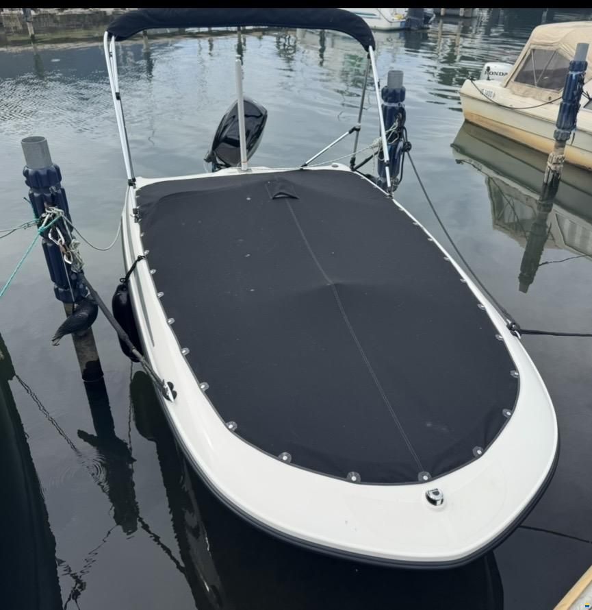 Bayliner M15