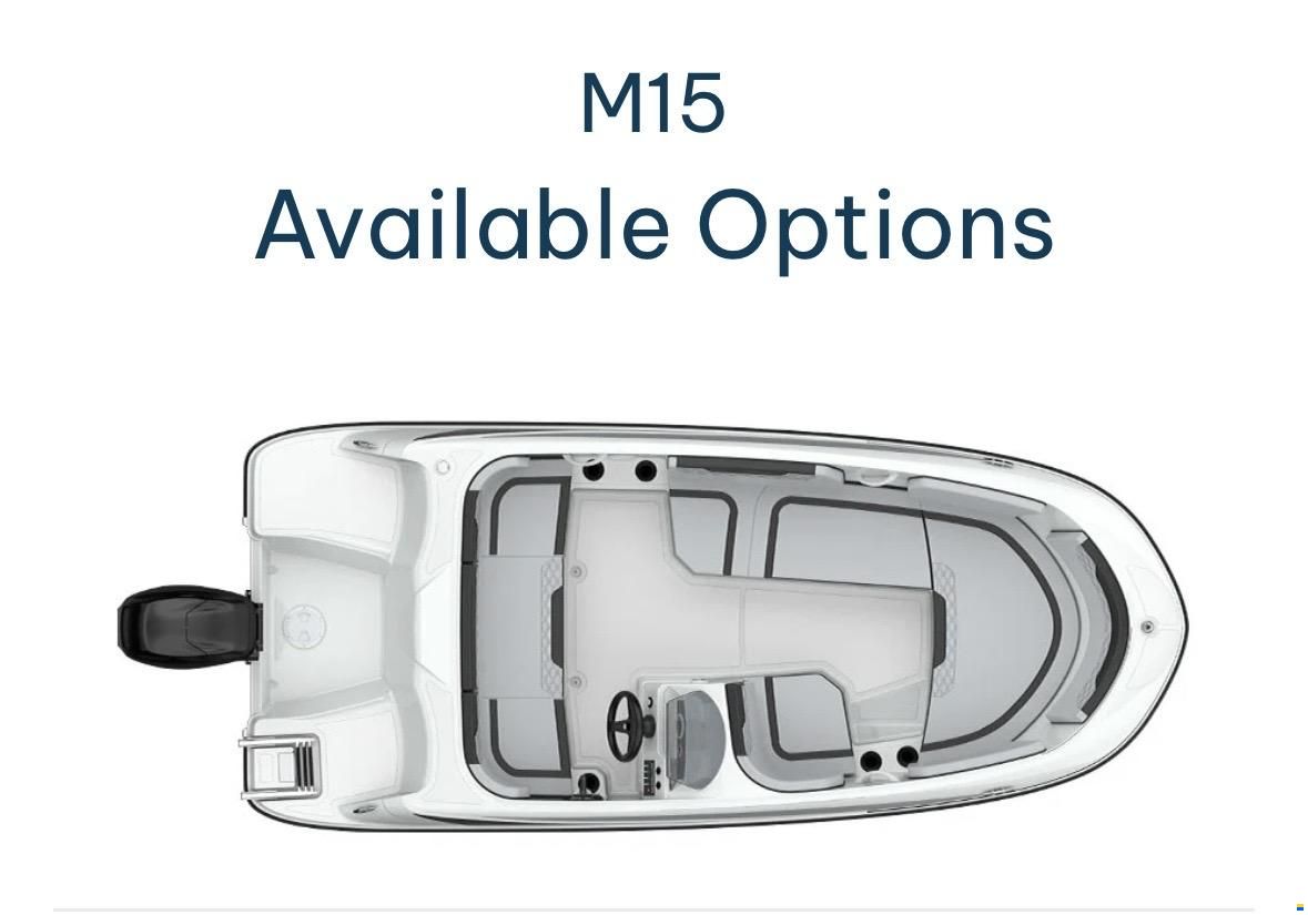 Bayliner M15
