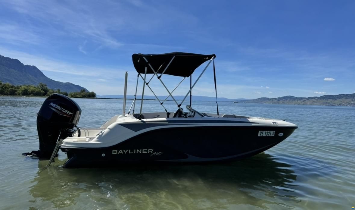 Bayliner M15