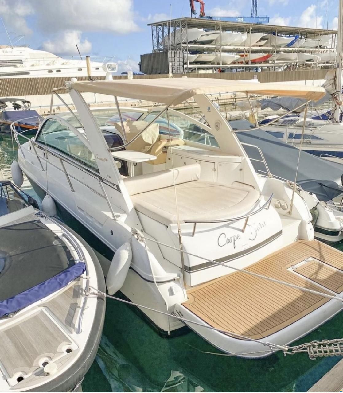 Starfisher Cancun 290
