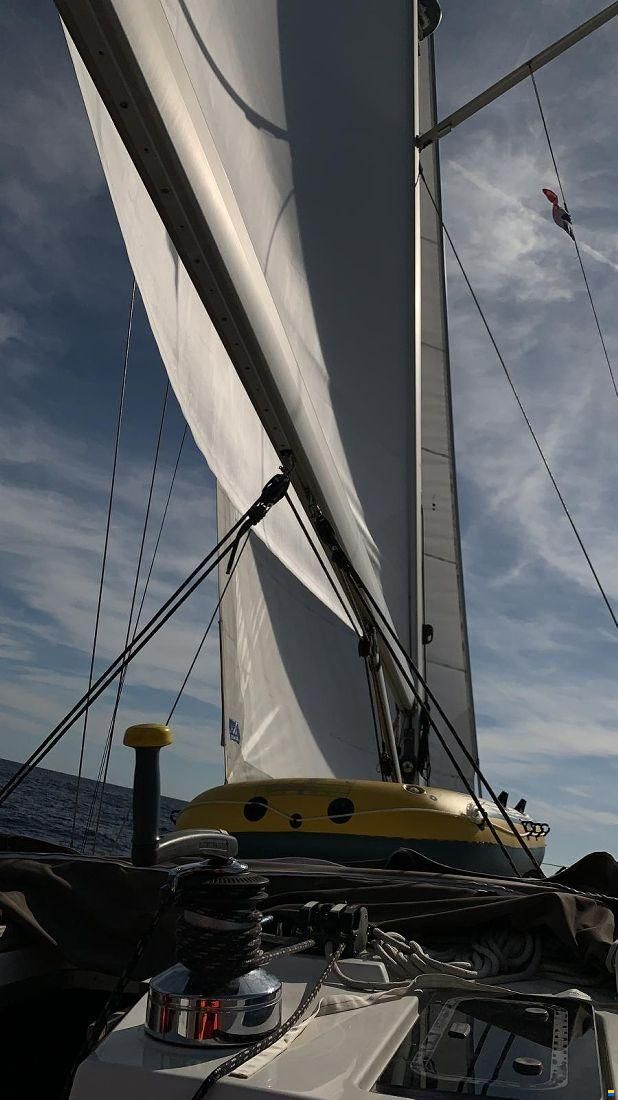 Bavaria 50 CRUISER