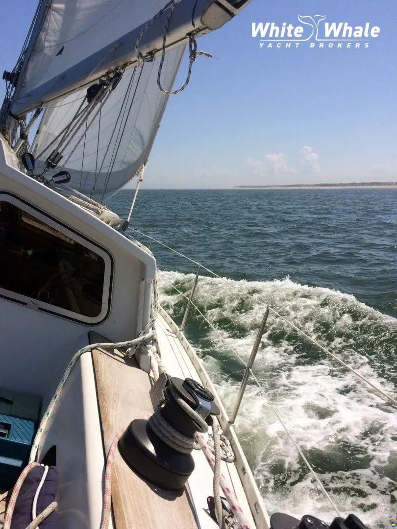 Northern Comfort 43