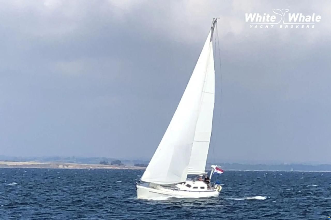 Northern Comfort 43