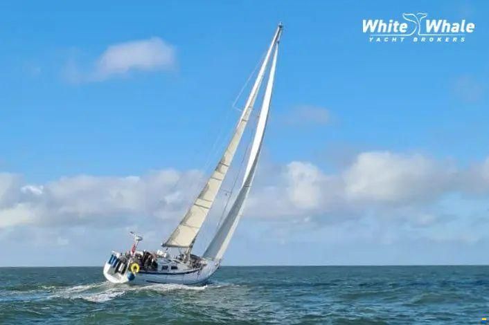 Northern Comfort 43