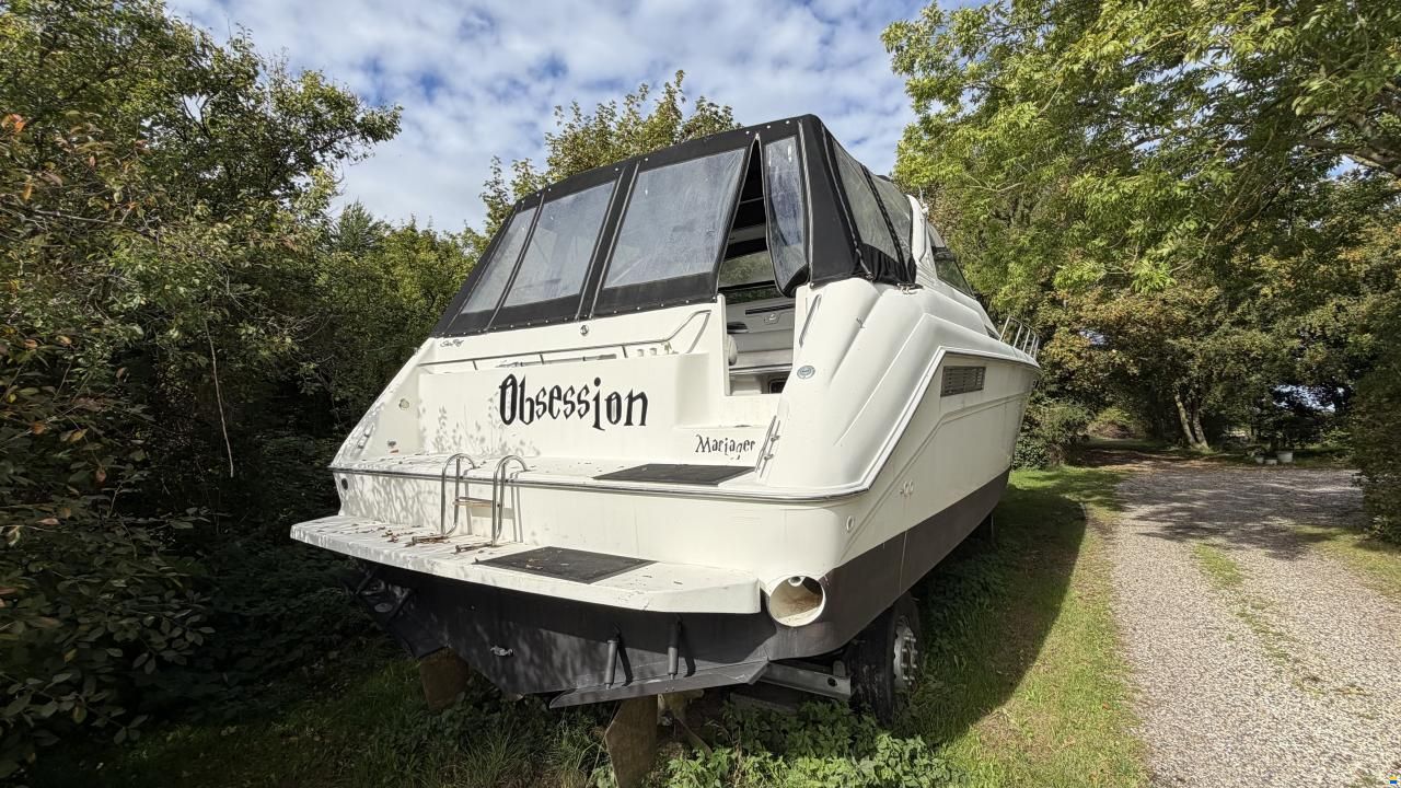Sea Ray sundancer 480