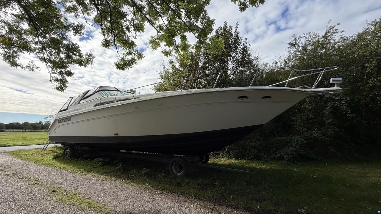 Sea Ray sundancer 480