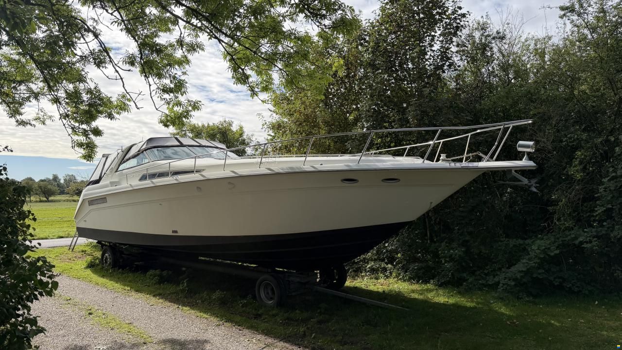 Sea Ray sundancer 480
