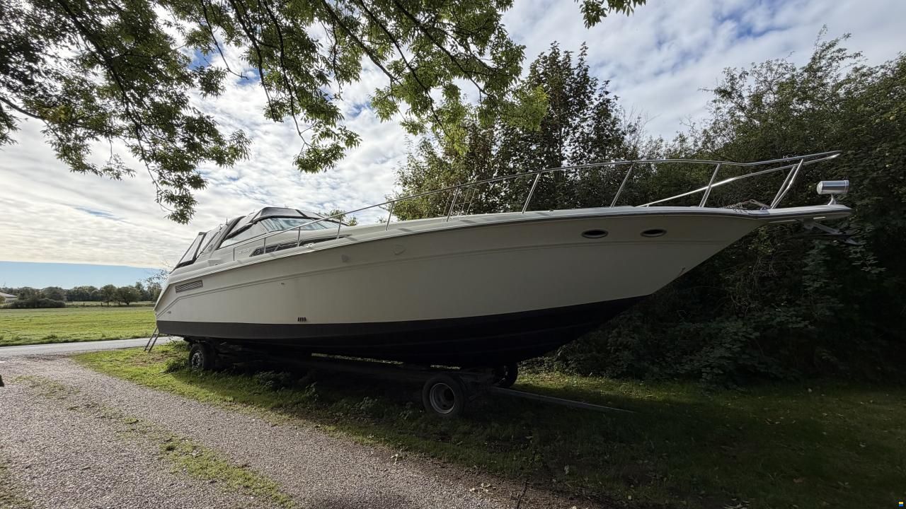 Sea Ray sundancer 480
