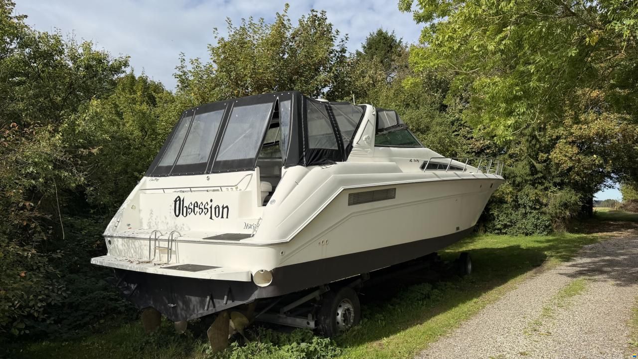 Sea Ray sundancer 480