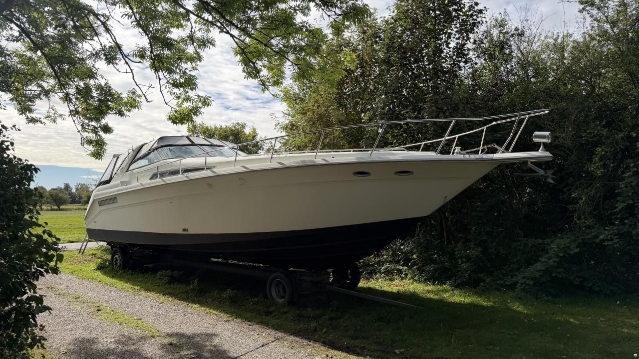 Sea Ray sundancer 480