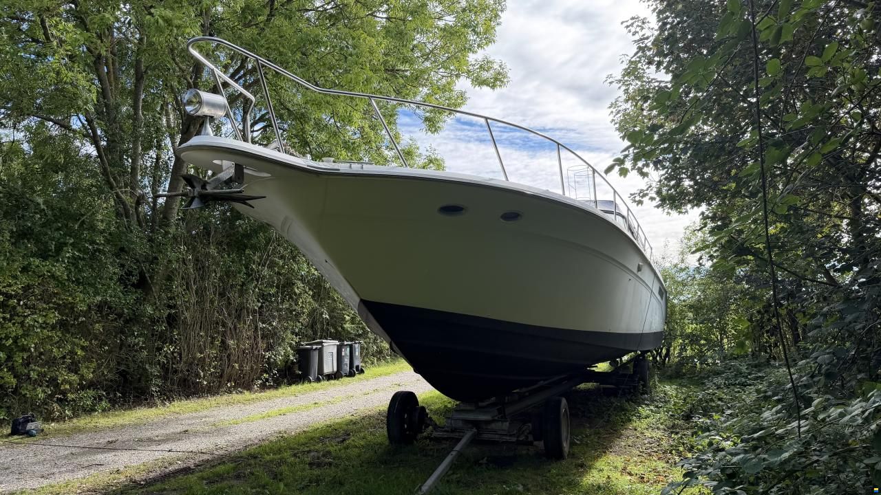 Sea Ray sundancer 480