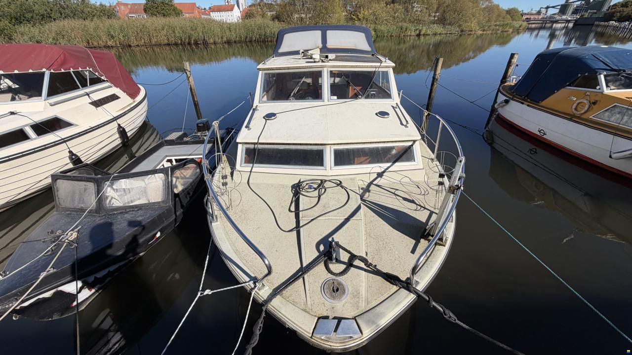 Coronet 26 Family