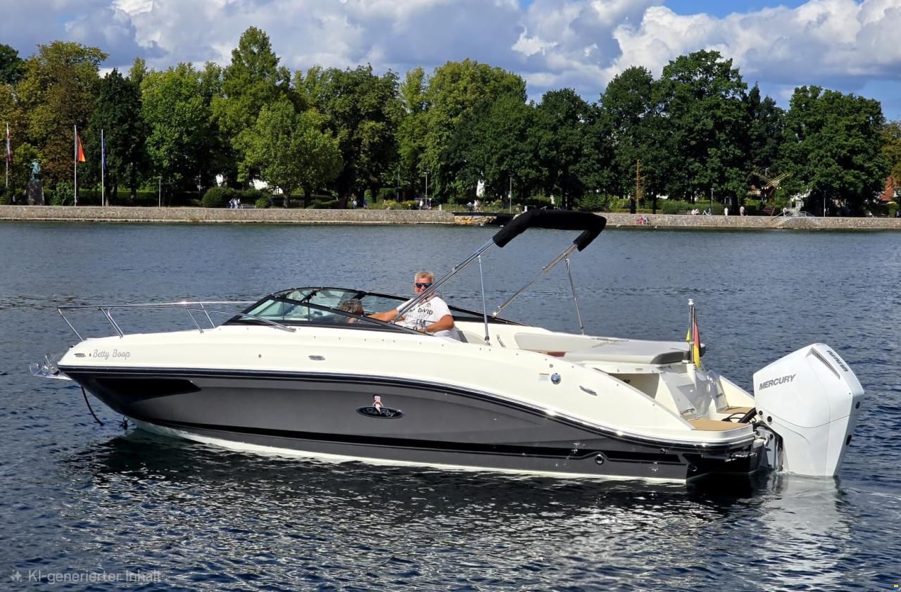 Sea Ray 230 Sunsport