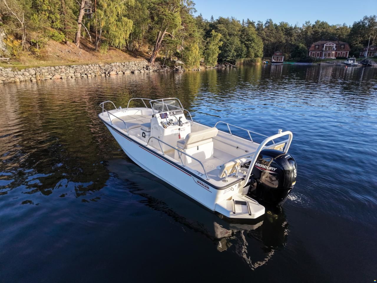 Boston Whaler 190 Montauk