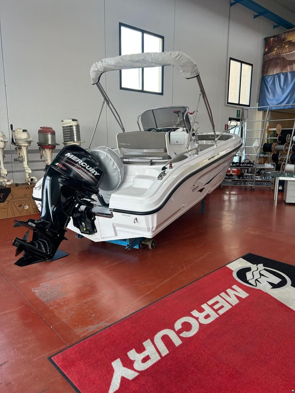 Ranieri Voyager 19S