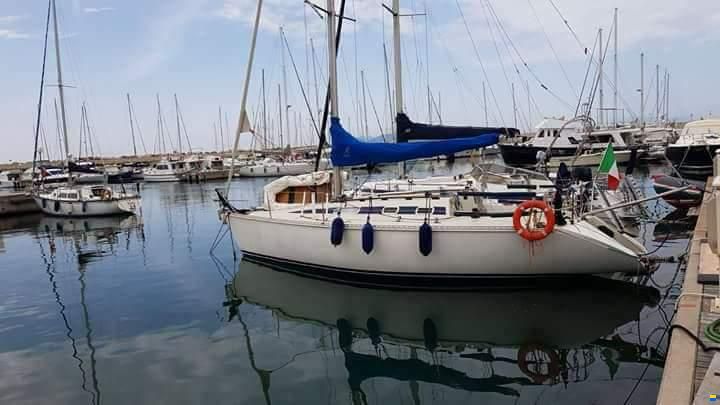 Elan 33