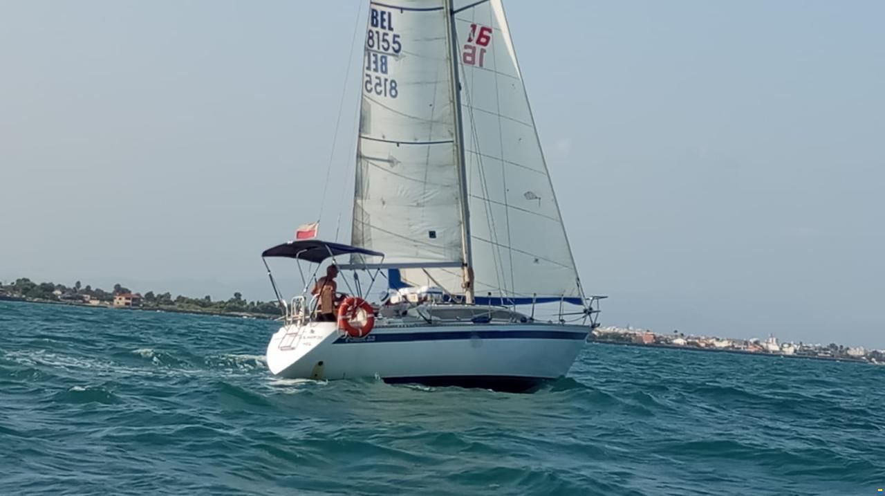 Furia 33