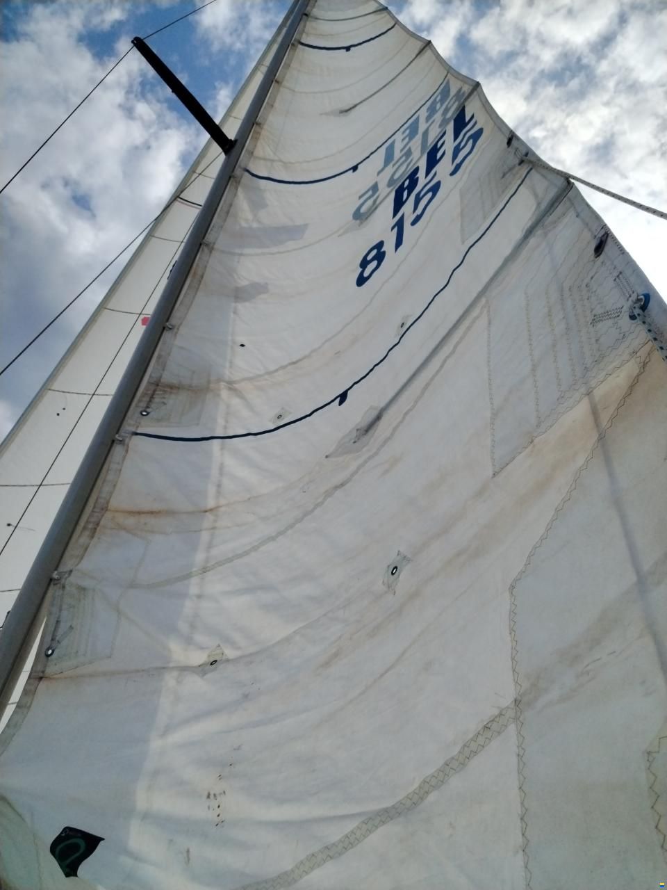 Furia 33