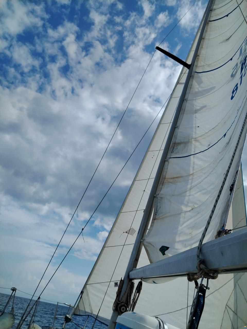 Furia 33