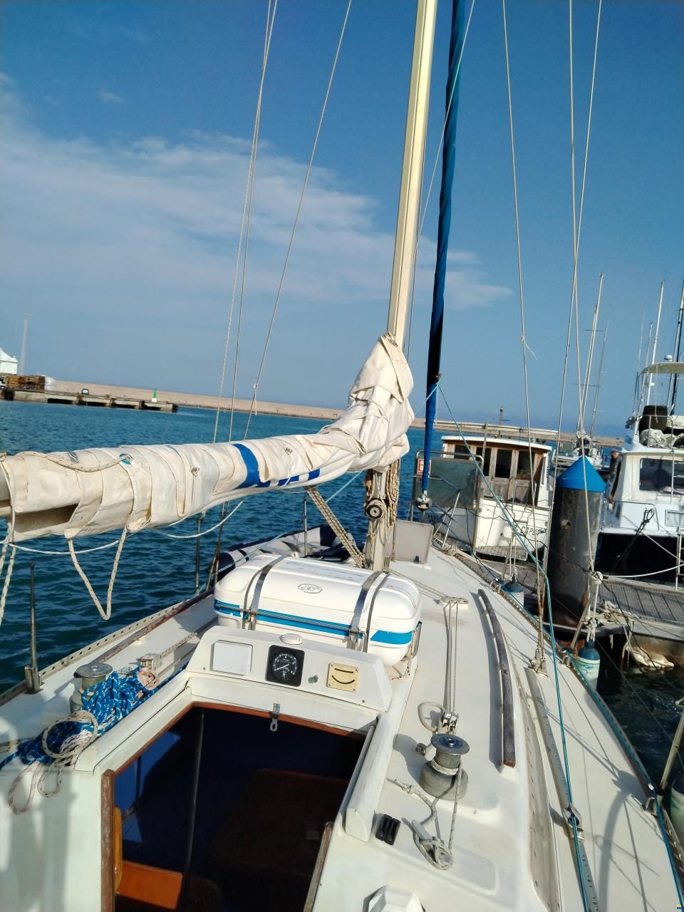 Furia 33