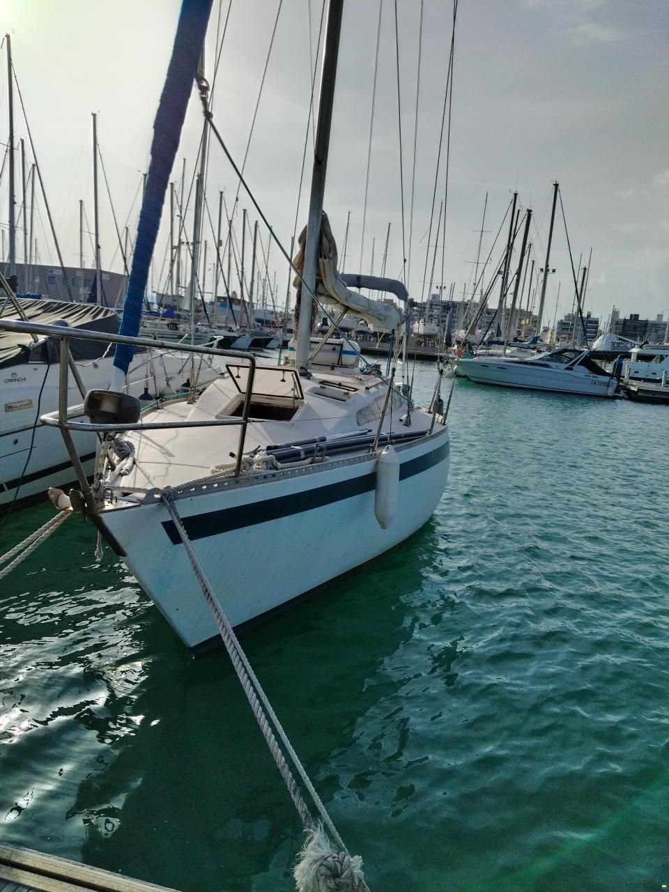 Furia 33