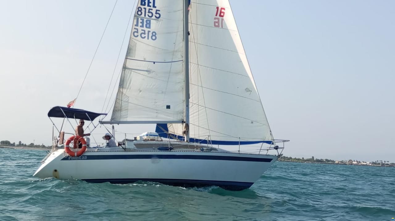Furia 33