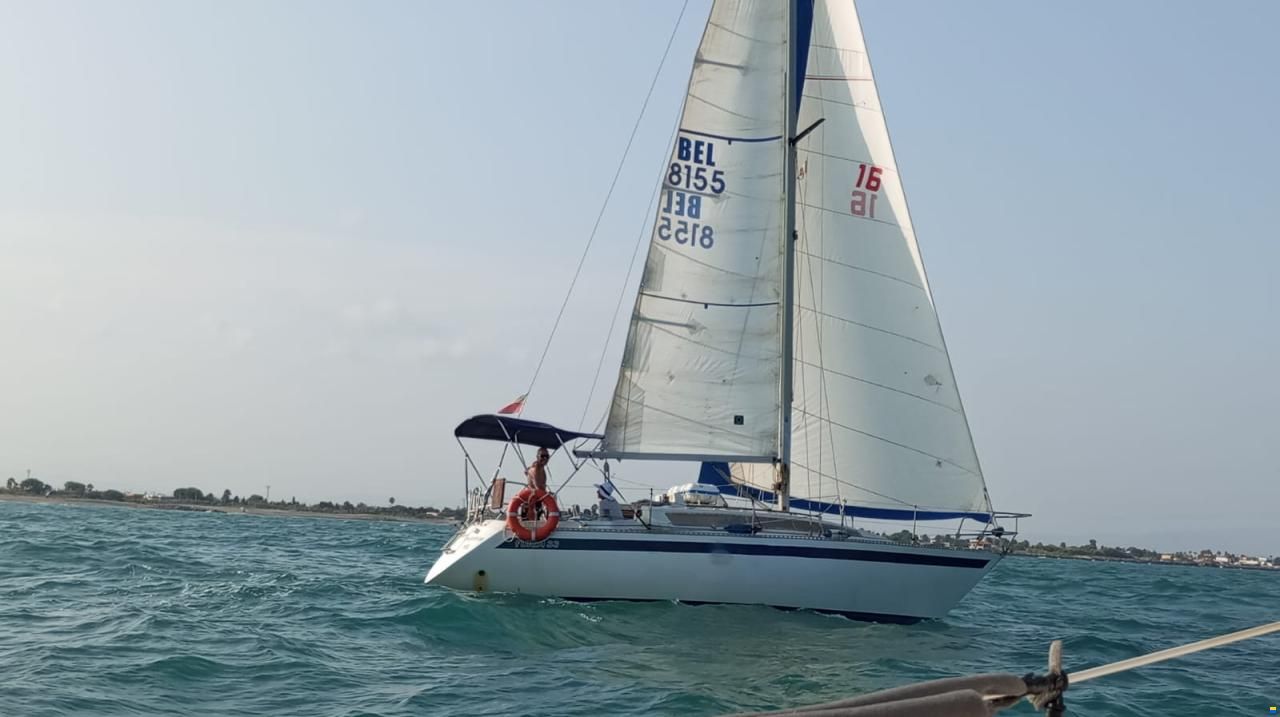 Furia 33