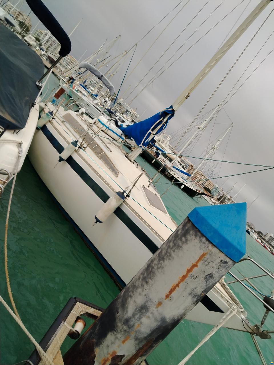 Furia 33