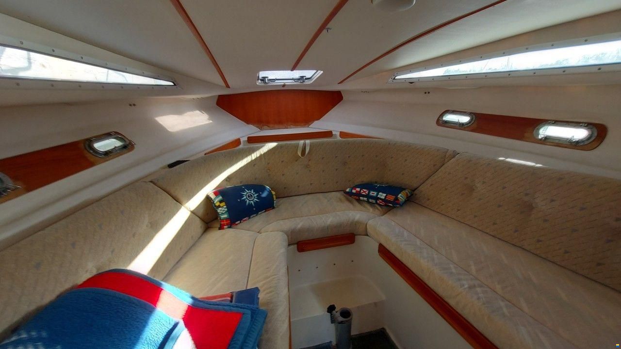 8000 Cruiser