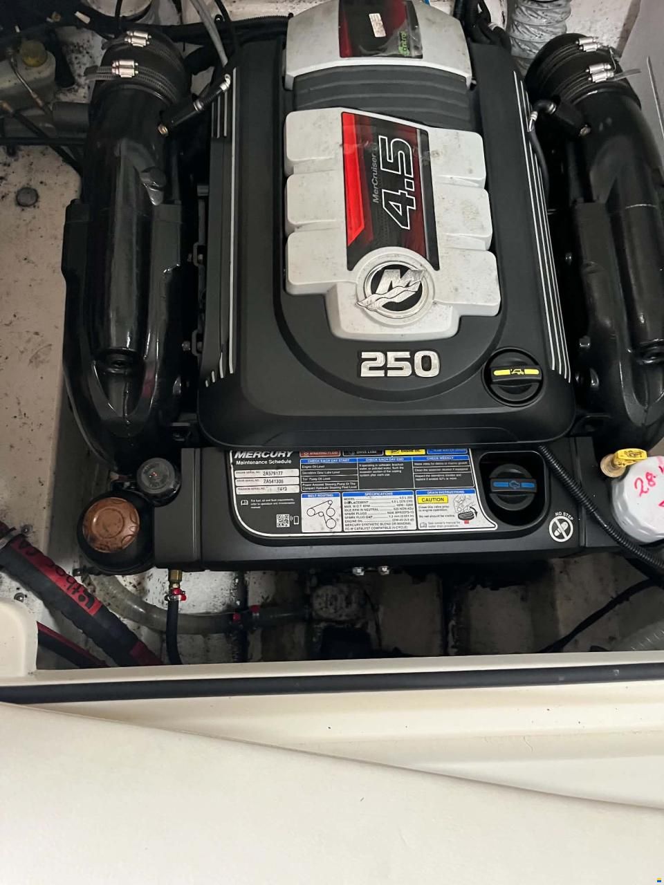 Bayliner Bowrider