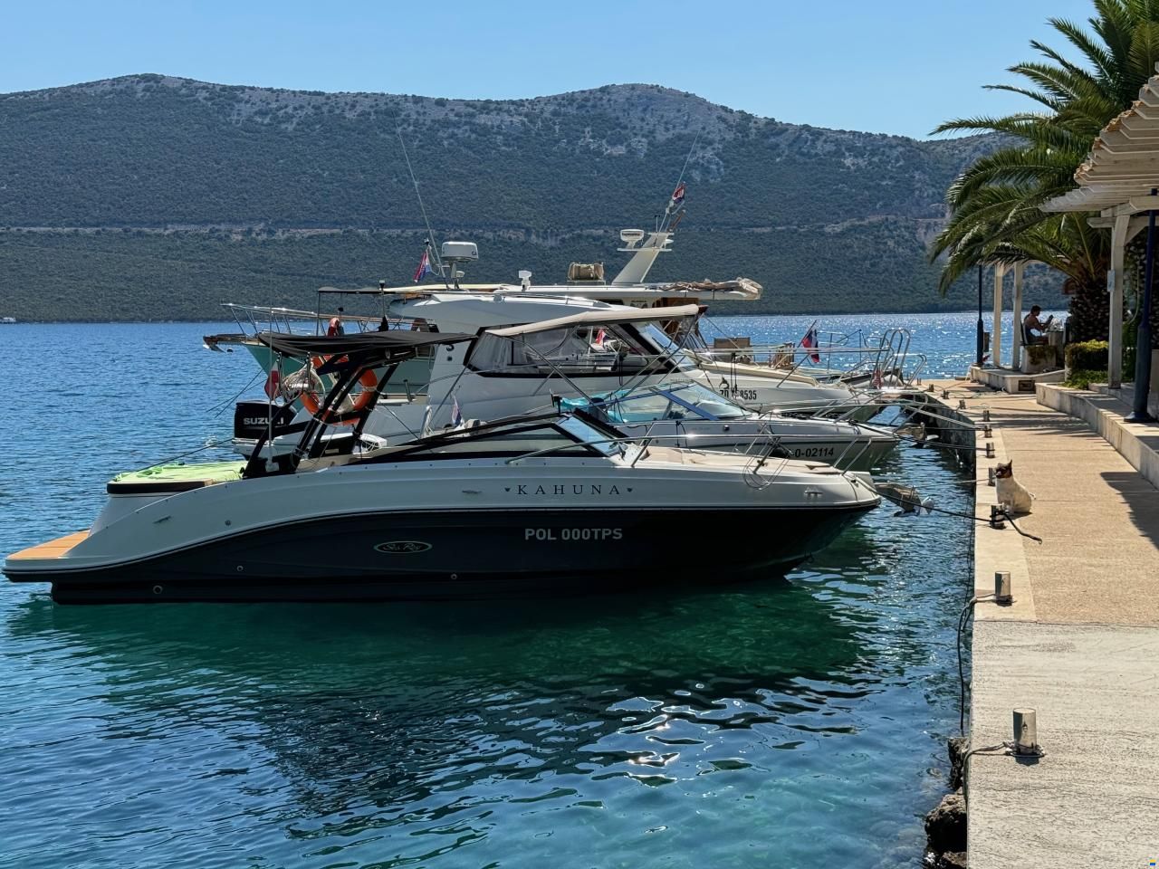 Sea Ray 230 Sun Sport