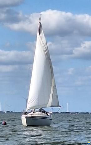 Maxi 84