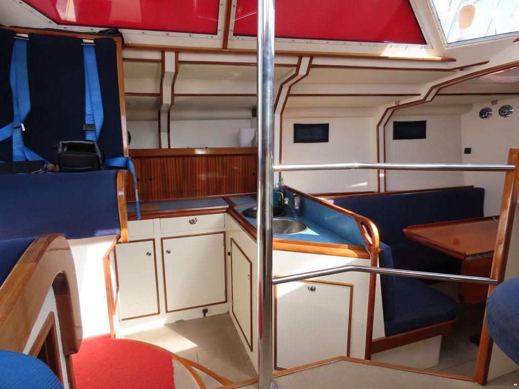 Stern 50