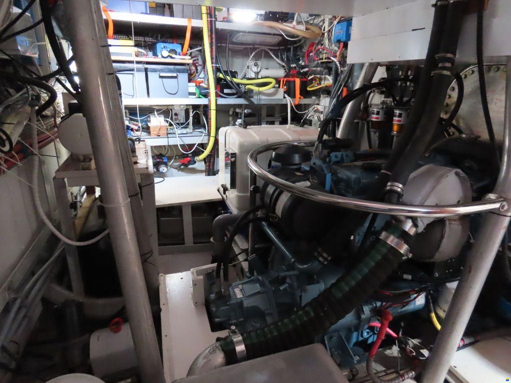 Stern 50