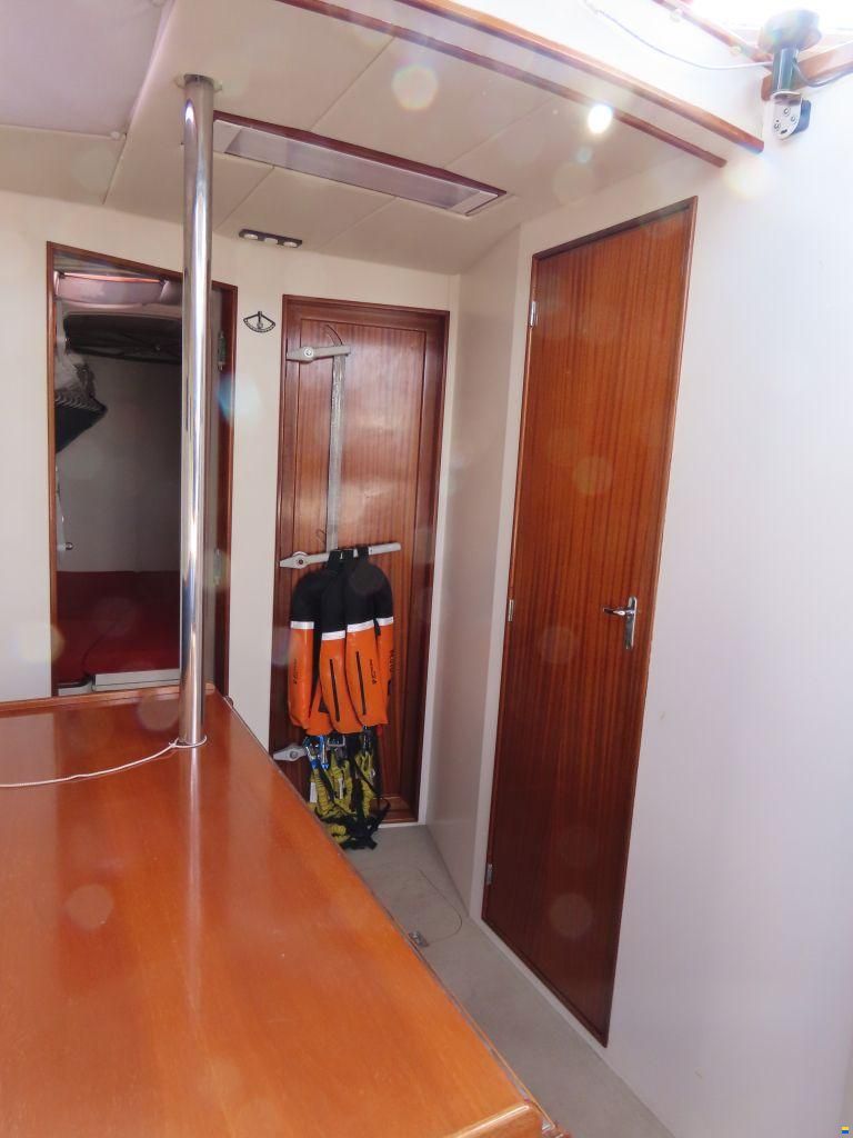 Stern 50