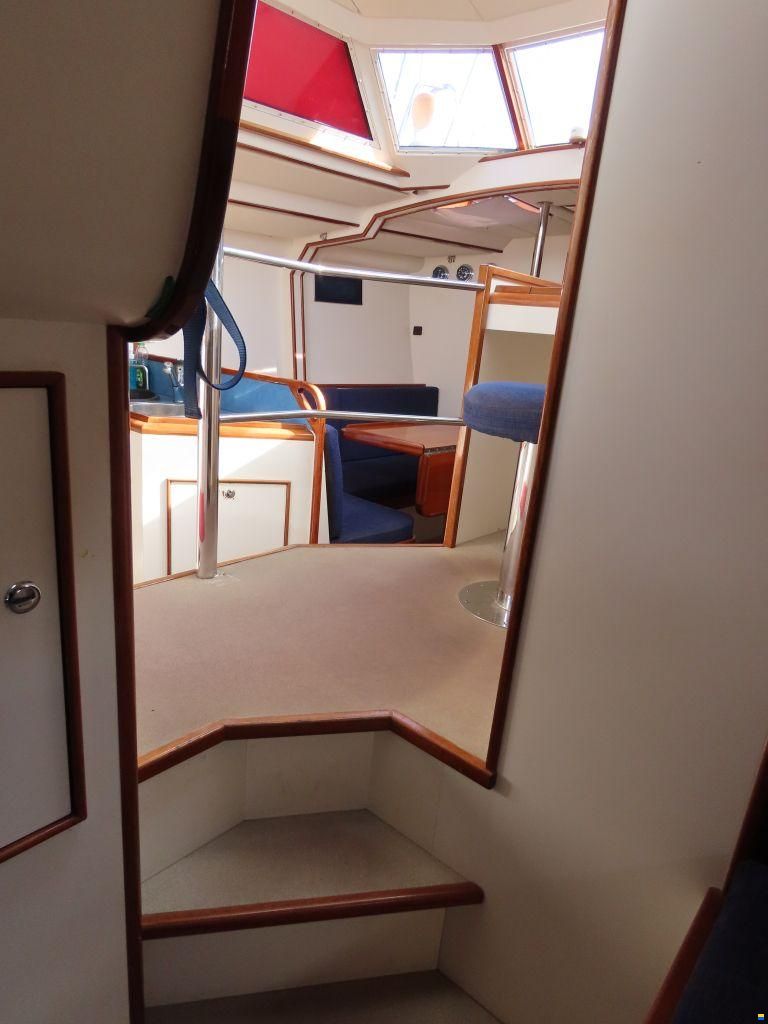 Stern 50