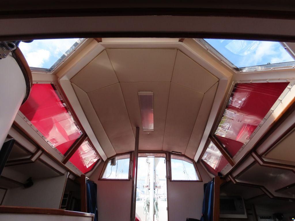 Stern 50