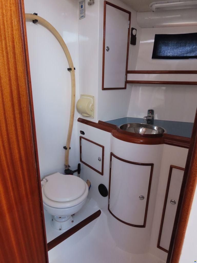 Stern 50