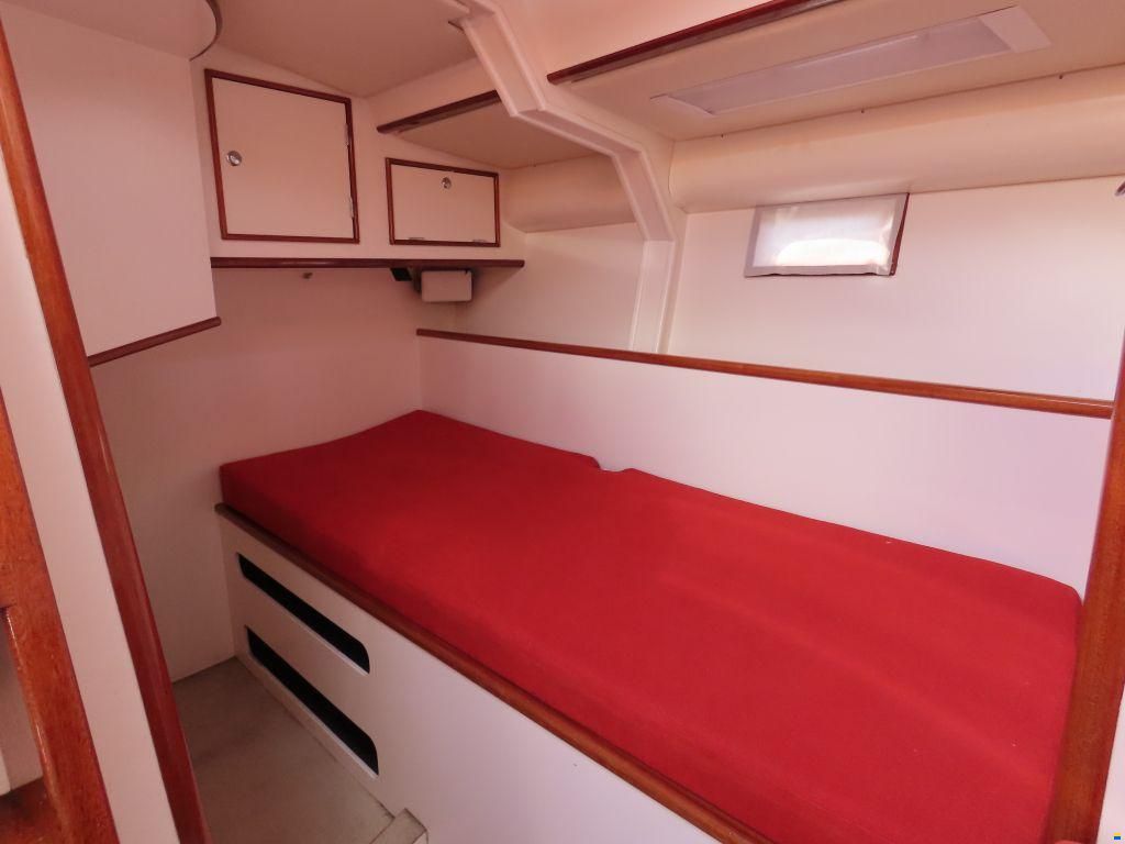 Stern 50