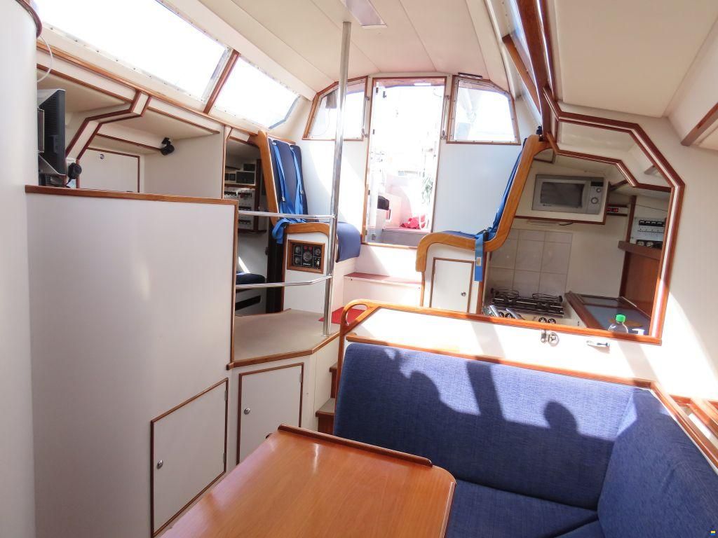 Stern 50