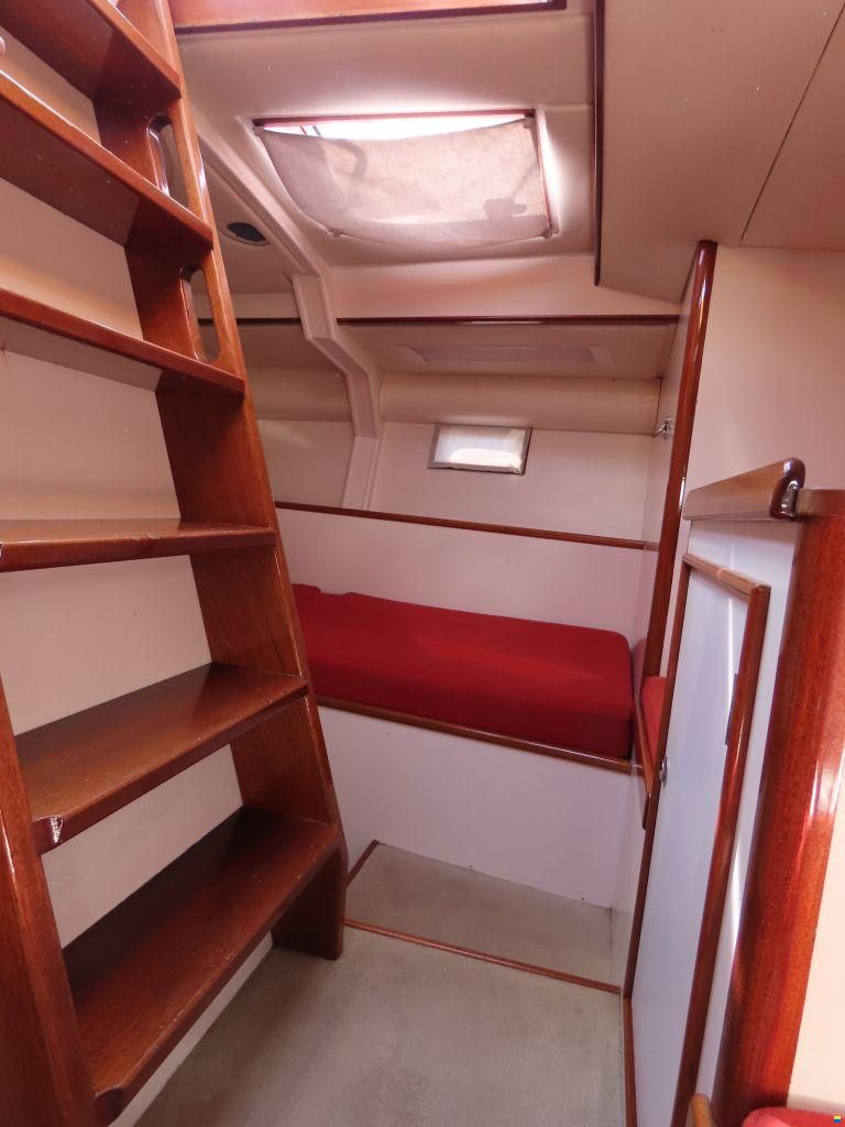 Stern 50