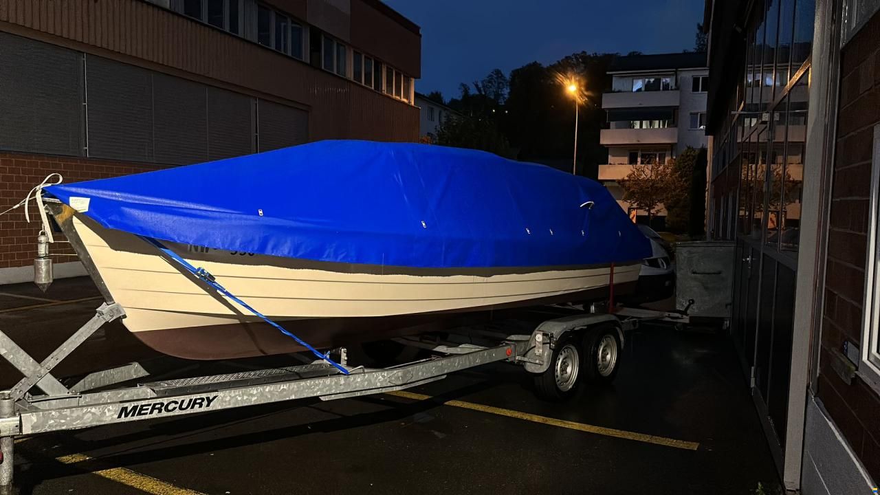 Füllemann Petri 603
