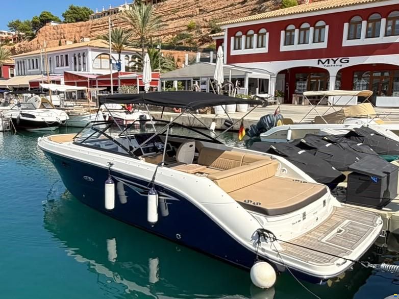 Sea Ray SLX 250