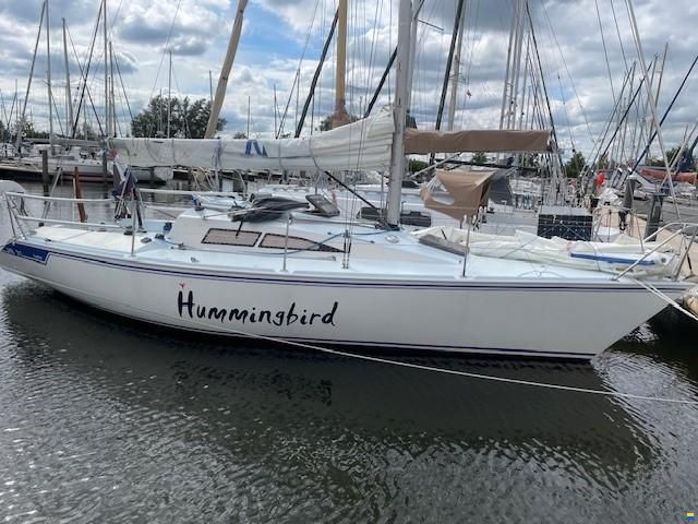 Hunter HB31