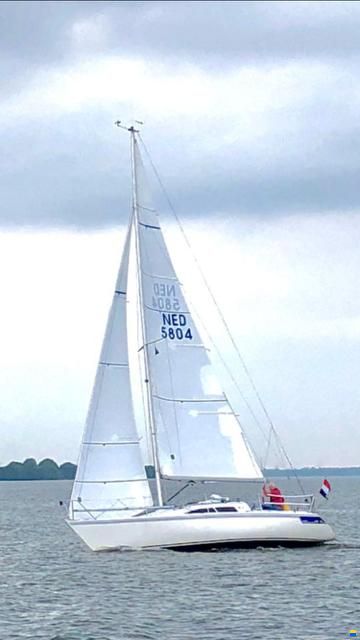 Hunter HB31
